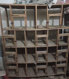 2 Birds cage and java finch for sale