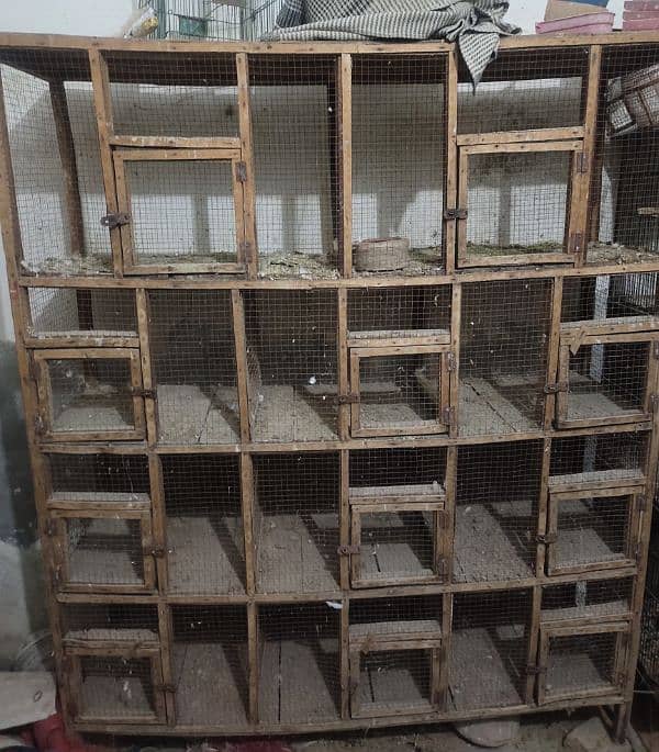 2 Birds cage and java finch for sale 0