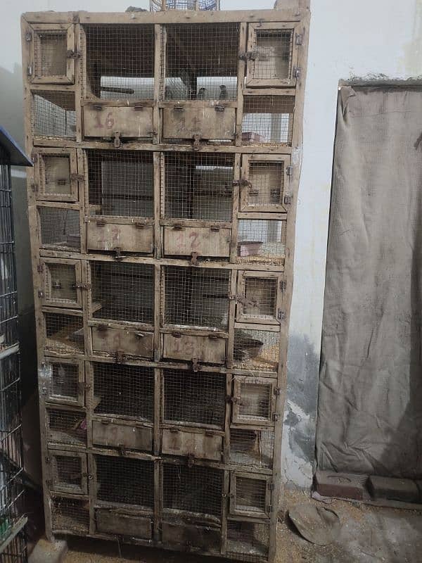 2 Birds cage and java finch for sale 2