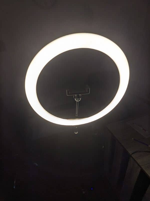 tik Tok light for sale 4