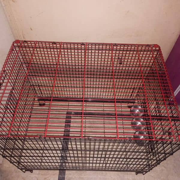 cage for sale in just 15.500 1