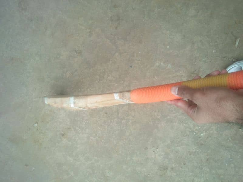 Hard ball bat 0