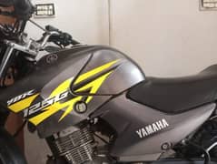 Yamaha Ybr g 'Special Edition'