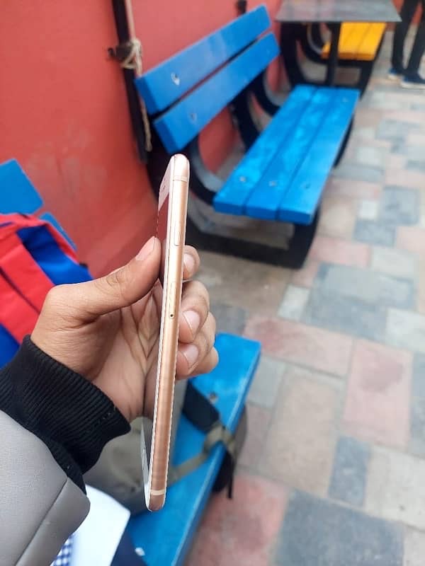 i Phone 8 plus 2