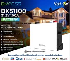 "Dyness BX51100: The Ultimate 51.2V 100Ah Battery for Reliable Power!"