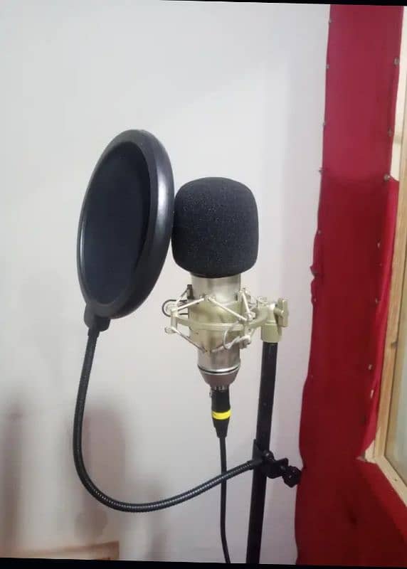 U 87 Studio Condenser Microphone Best Quality Vocal & music Recorder 2