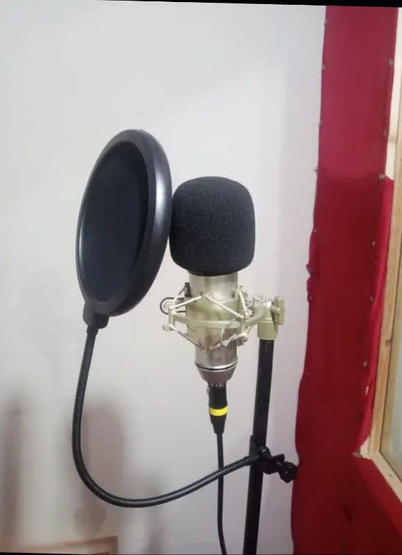 U 87 Studio Condenser Microphone Best Quality Vocal & music Recorder 4