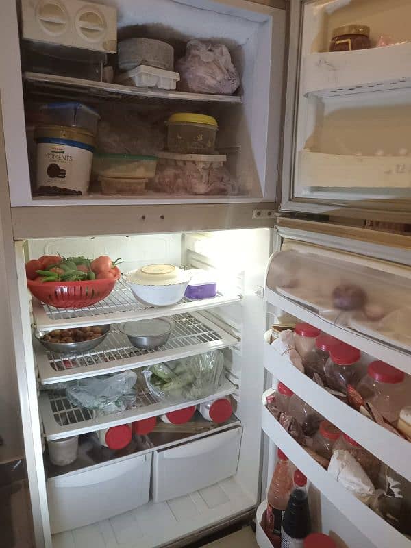 Pell Refrigerator for sale 2