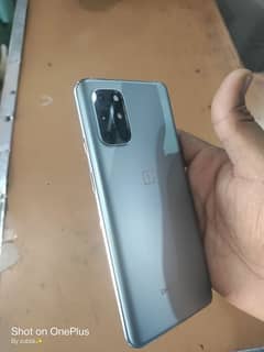 OnePlus 8t  brand new condition