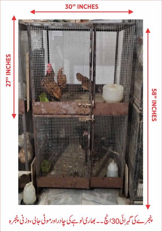 Brooder Chicks 4 Feet by 2 Feet and Hen Cage 6