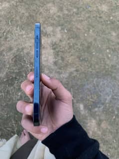 iPhone 12 Pro Max blue colour