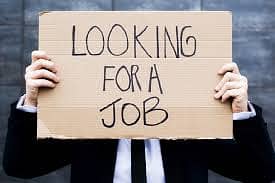 Looking for a job 0