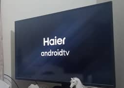 Haier