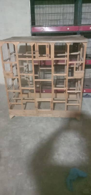 Wood and iron cage 5