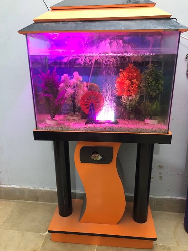 Fish aquarium 0