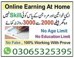 male /female online jobs available full time/typing/assignment work