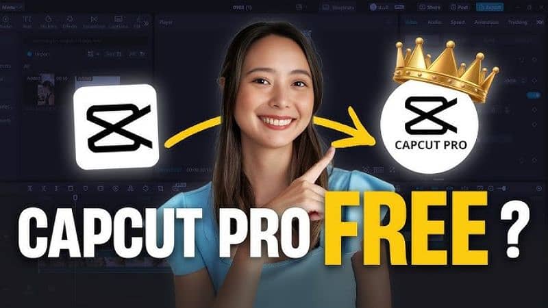 Capcut Pro| Internet Connection issue solved| First payment then link 1