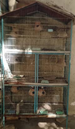 Cages pinjra for sell