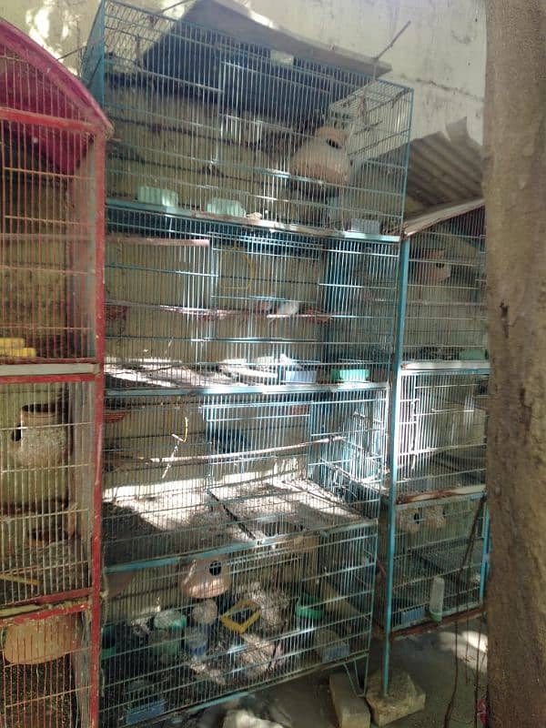 Cages pinjra for sell 1