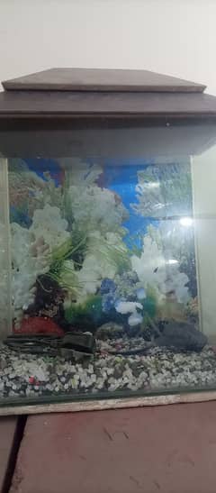 Aquarium for sale