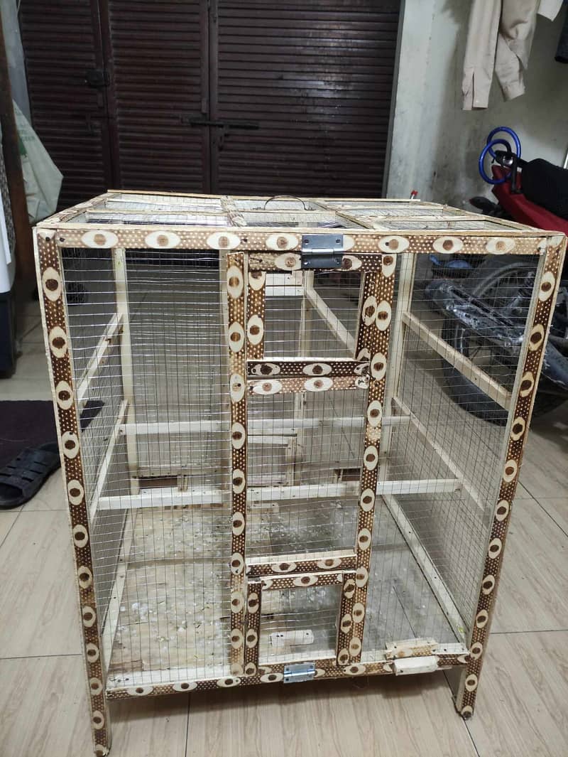 Rare Muatations Finches + Australians + 2 Wooden Cages in Lahore. 7