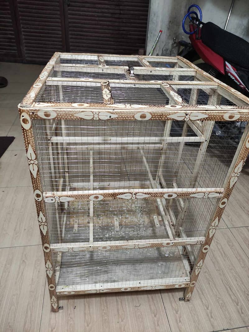 Rare Muatations Finches + Australians + 2 Wooden Cages in Lahore. 8