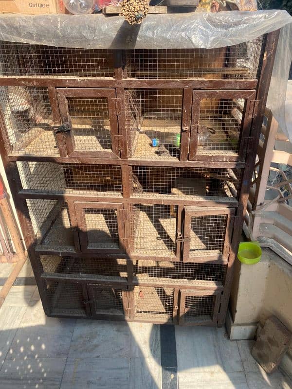 cage wooden heavy sfrong fir lovebird 2