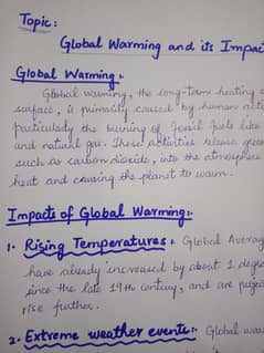 Professional handwritten assignment work