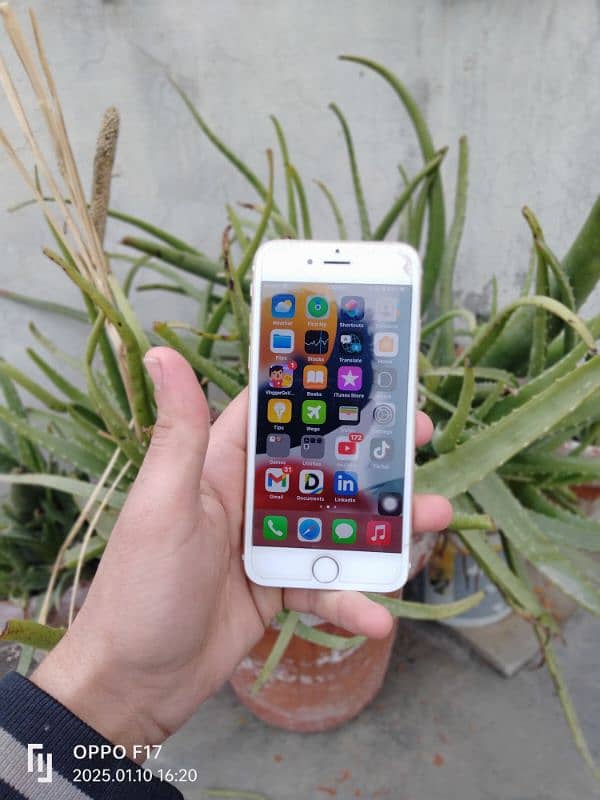 iPhone 6s 64 GB PTA 1