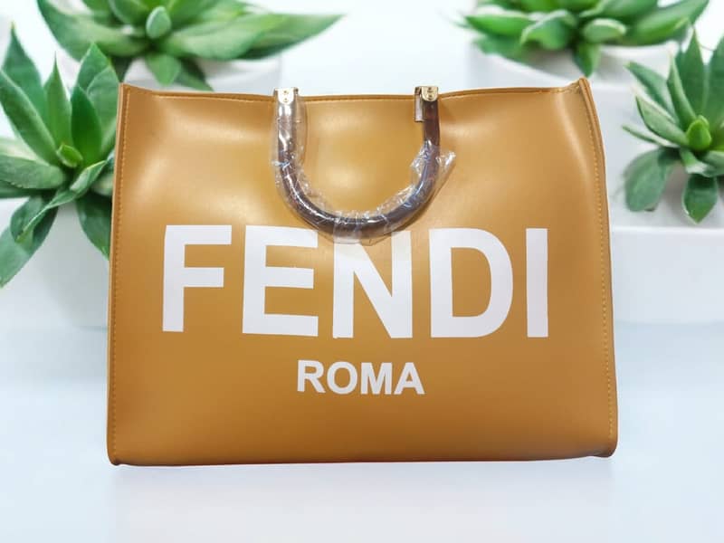 Fendi Roma tote bag-Different colour 5