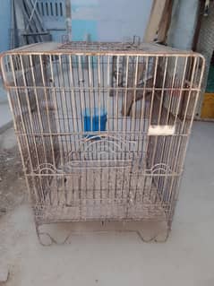 Grey parrot Master cage