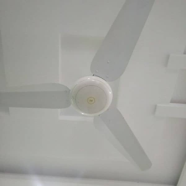 SK company fan 1