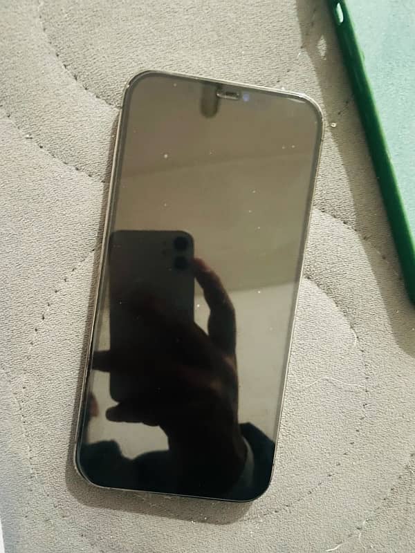 iPhone 12 pro max GX panel 5