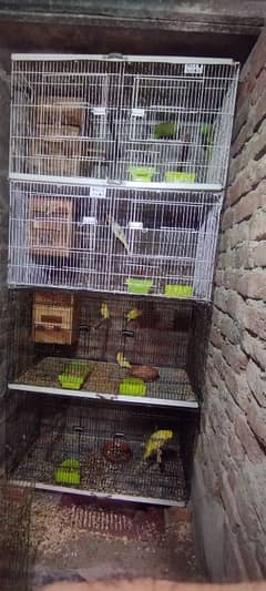 cage