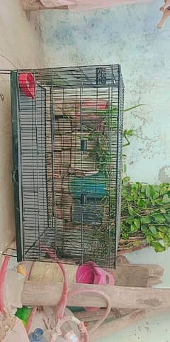 bird cage