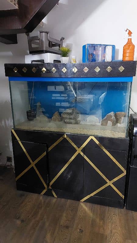 fish aquarium 0