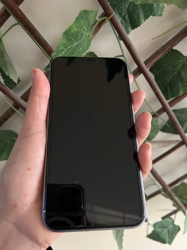 Iphone 11, 256 GB, non-PTA 3