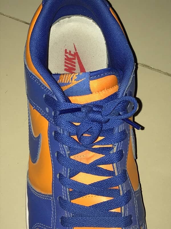 ulca dunks nike 1