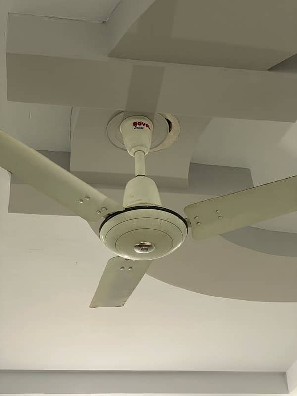 36 inch Royal fan 0