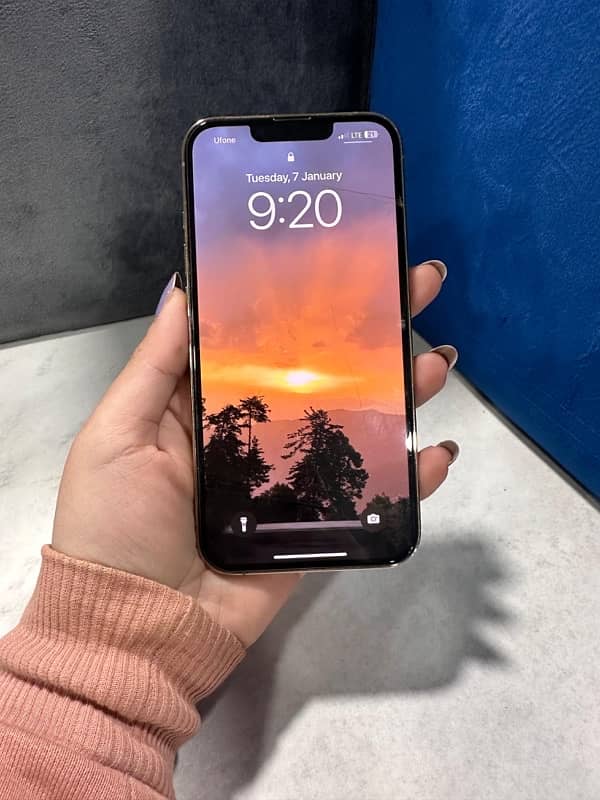 Iphone 13 Pro 256gb Pta approved 1