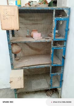 birds cage