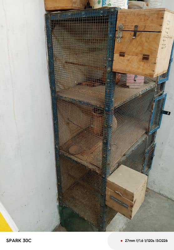 birds cage 1