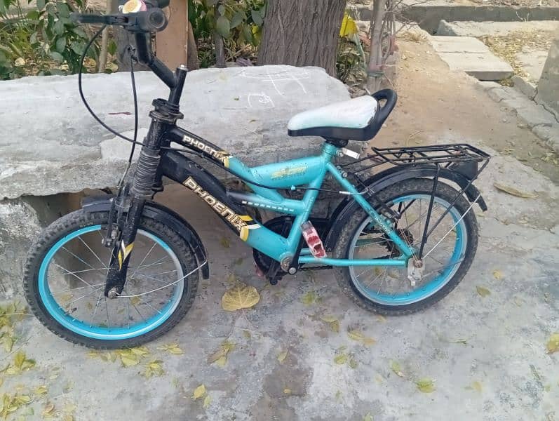 16 Inches Bicycle 3