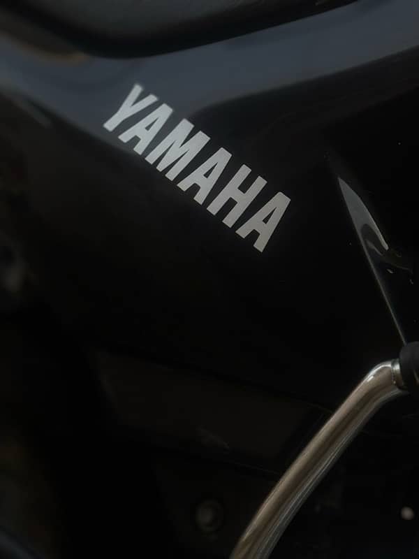 yamaha YBR / 2019 3