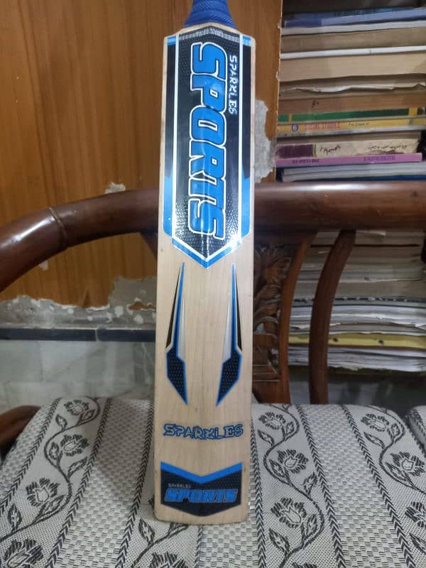 cricket Bat 1