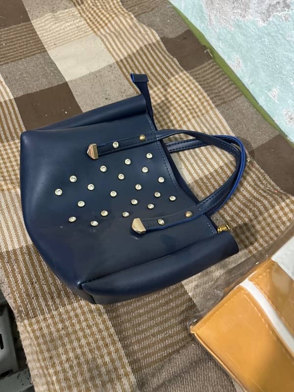 Beautiful bag 1