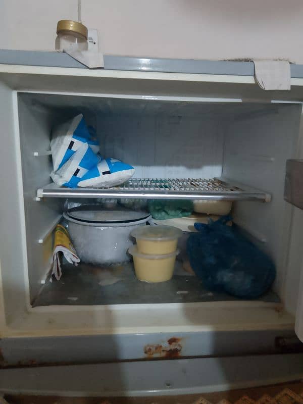 fridge 3