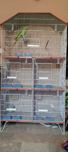 Green parrot cage