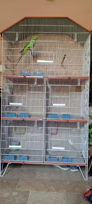 Green parrot cage 0