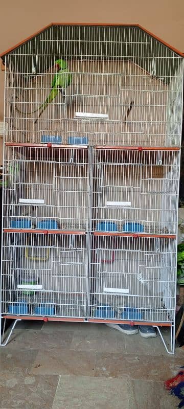 Green parrot cage 1